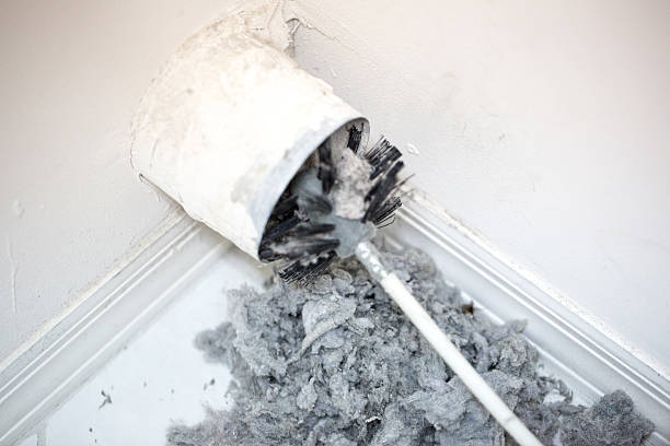 Best Dryer Vent Cleaning Services  in Congress, AZ